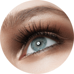 EXTENSION DE CILS